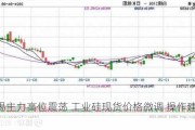 沪锡主力高位震荡 工业硅现货价格微调 操作建议观望