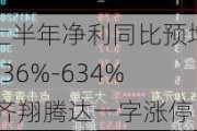 上半年净利同比预增536%-634% 齐翔腾达一字涨停