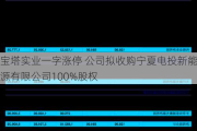 宝塔实业一字涨停 公司拟收购宁夏电投新能源有限公司100%股权