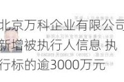 北京万科企业有限公司新增被执行人信息 执行标的逾3000万元