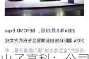 山子高科：公司拟回购不超过62500.00万股公司股份