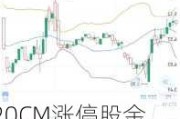 20CM涨停股金明精机：公司对中雷电科参股比例较小 其尚未盈利