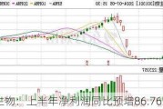 川宁生物：上半年净利润同比预增86.76%-***%