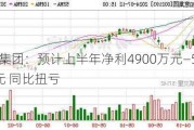 如意集团：预计上半年净利4900万元―5900万元 同比扭亏