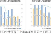 招商蛇口业绩快报：上半年净利润同比下降34.17%