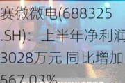 赛微微电(688325.SH)：上半年净利润3028万元 同比增加567.03%