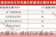 持仓大曝光！绩优FOF基金买了啥？