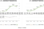 全产业链运营优势持续显现 云天化上半年实现净利润28.41亿元