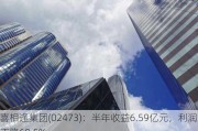 喜相逢集团(02473)：半年收益6.59亿元，利润下降68.5%