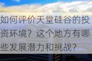 如何评价天堂硅谷的投资环境？这个地方有哪些发展潜力和挑战？