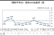 5月制造业PMI为49.5%，比上月下降0.9个百分点