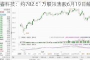 国睿科技：约782.61万股限售股6月19日解禁