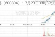 *ST鹏博（600804）：7月23日09时39分触及涨停板