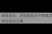 庚星股份：原控股股东中庚集团被证监会立案