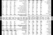 中钢天源:关于股东权益变动的提示性公告