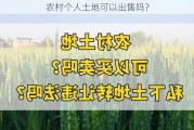 农村个人土地可以出售吗？