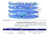 广和通(300638.SZ)：公司单独V2X模组和集成V2X功能蜂窝模组产品都有 均有出货