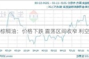 棕榈油：价格下跌 震荡区间收窄 利空盘面