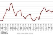 西部矿业：铜精矿量价齐增 上半年归母净利润同比增8%