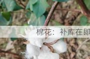 棉花：补库在即