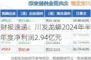 财报速递：川发龙蟒2024年半年度净利润2.94亿元