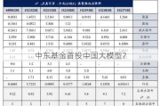 中东基金首投中国大模型？