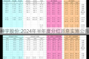 神宇股份:2024年半年度分红派息实施公告