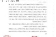 华远地产:华远地产股份有限公司拟置出资产专项审计报告