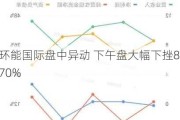 环能国际盘中异动 下午盘大幅下挫8.70%