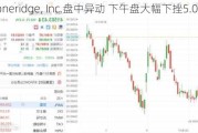 Stoneridge, Inc.盘中异动 下午盘大幅下挫5.00%