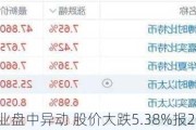 比特矿业盘中异动 股价大跌5.38%报2.46美元