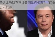 特朗普想让马斯克审计美国政府帐薄？“钢铁侠”回应：迫不及待！