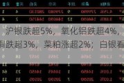 期货午评：沪银跌超5%，氧化铝跌超4%，国际铜、沪镍、沪铜跌超3%，菜粕涨超2%；白银看跌期权整体减仓