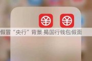 假冒“央行”背景 揭国行钱包假面