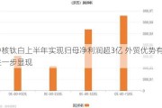 中核钛白上半年实现归母净利润超3亿 外贸优势有望进一步显现