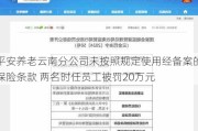 平安养老云南分公司未按照规定使用经备案的保险条款 两名时任员工被罚20万元