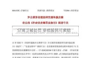 ST南卫被处罚 受损股民可索赔