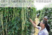 公职人员与教师摘豆角引冲突，村民权益如何守护？