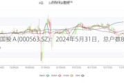 陕国投Ａ(000563.SZ)：2024年5月31日，总户数85379