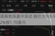 道森地探盘中异动 股价大涨6.92%报1.70美元