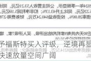 国金证券给予福斯特买入评级，逆境再显胶膜龙头优势，新材料快速放量空间广阔