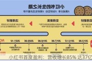 小红书首度盈利：营收增长85% 达37亿美元