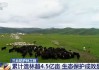 三北工程：累计造林 4.8 亿亩，有效治理沙化土地