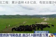 三北工程：累计造林 4.8 亿亩，有效治理沙化土地