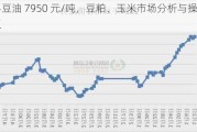 达孚豆油 7950 元/吨，豆粕、玉米市场分析与操作建议