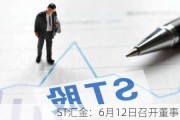 ST汇金：6月12日召开董事会会议