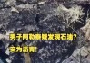 官方回应男子旅游疑似发现石油：实为沥青熔化所致