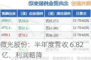 微光股份：半年度营收 6.82 亿，利润略降