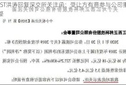 *ST洪涛回复深交所关注函：受让方有意参与公司重整