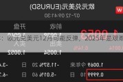 汇丰：欧元兑美元12月可能反弹，2025年是艰难的年份！